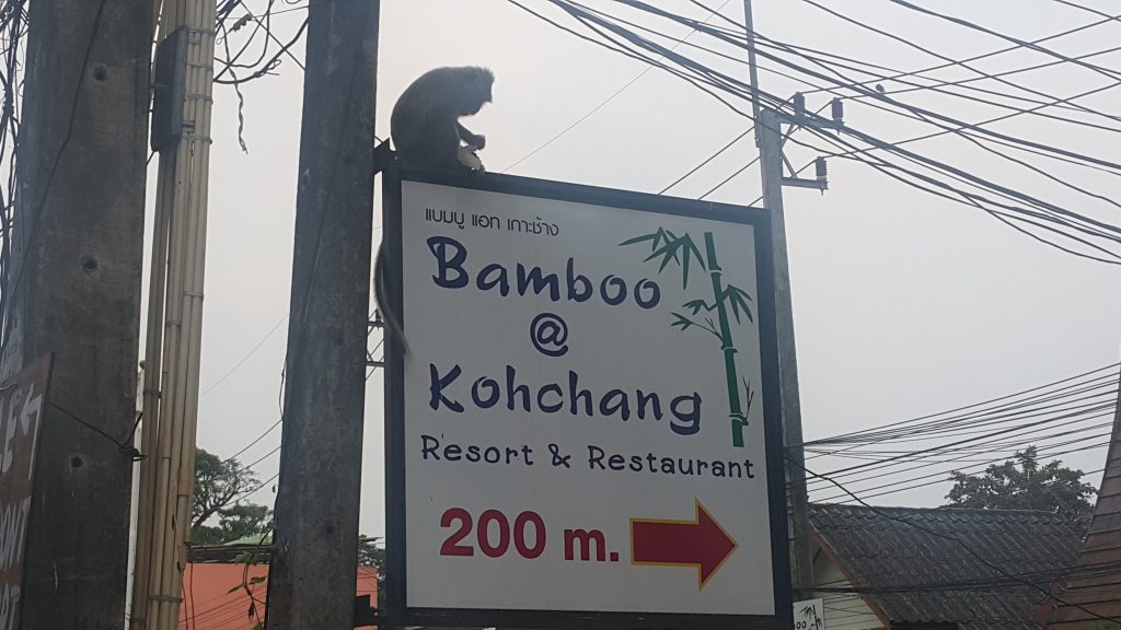Monkey on Sign